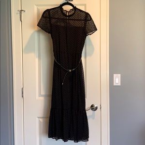 Zara sheer polka dot midi dress